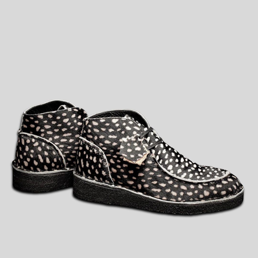 EWALDI - DALMATIEN NOIR