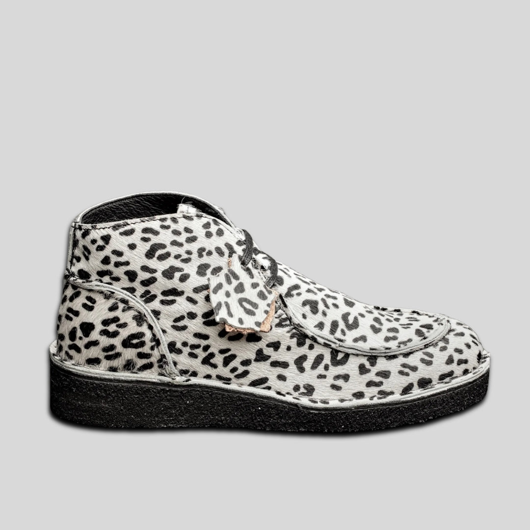 EWALDI - DALMATIEN BLANC