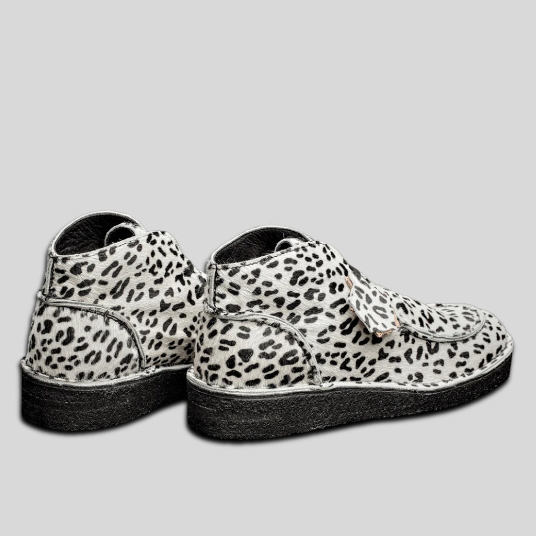 EWALDI - DALMATIEN BLANC