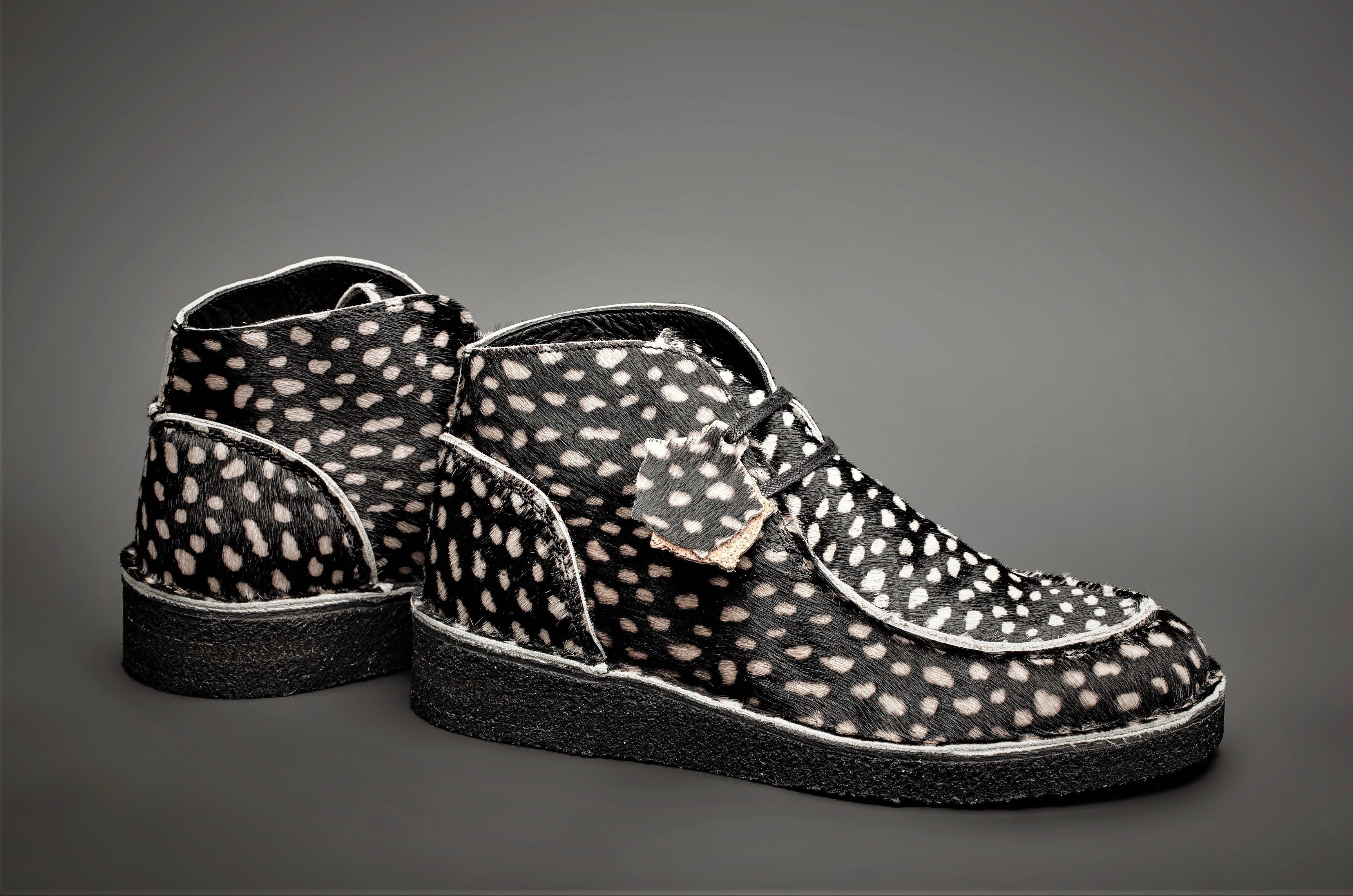 EWALDI - BLACK DALMATIAN