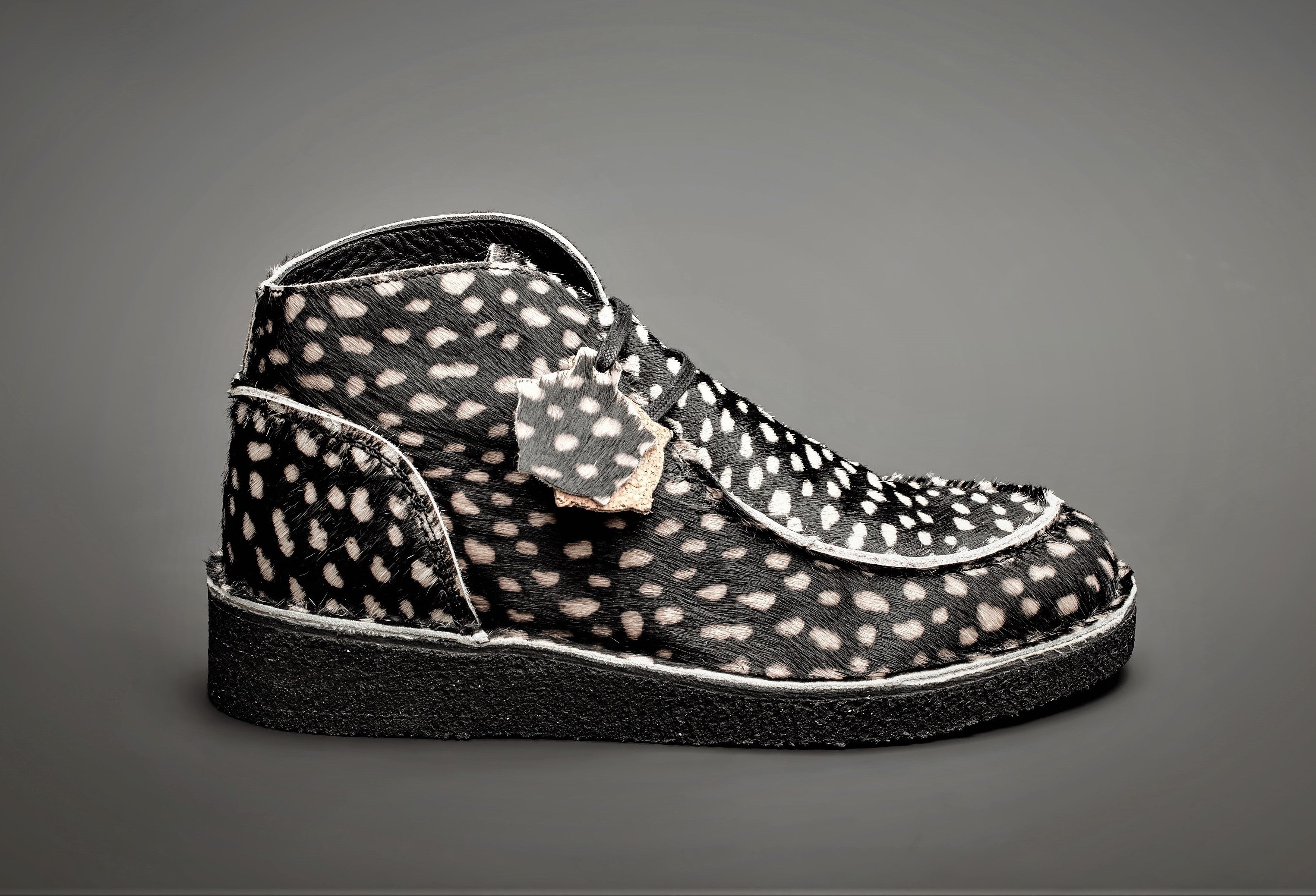 EWALDI - BLACK DALMATIAN