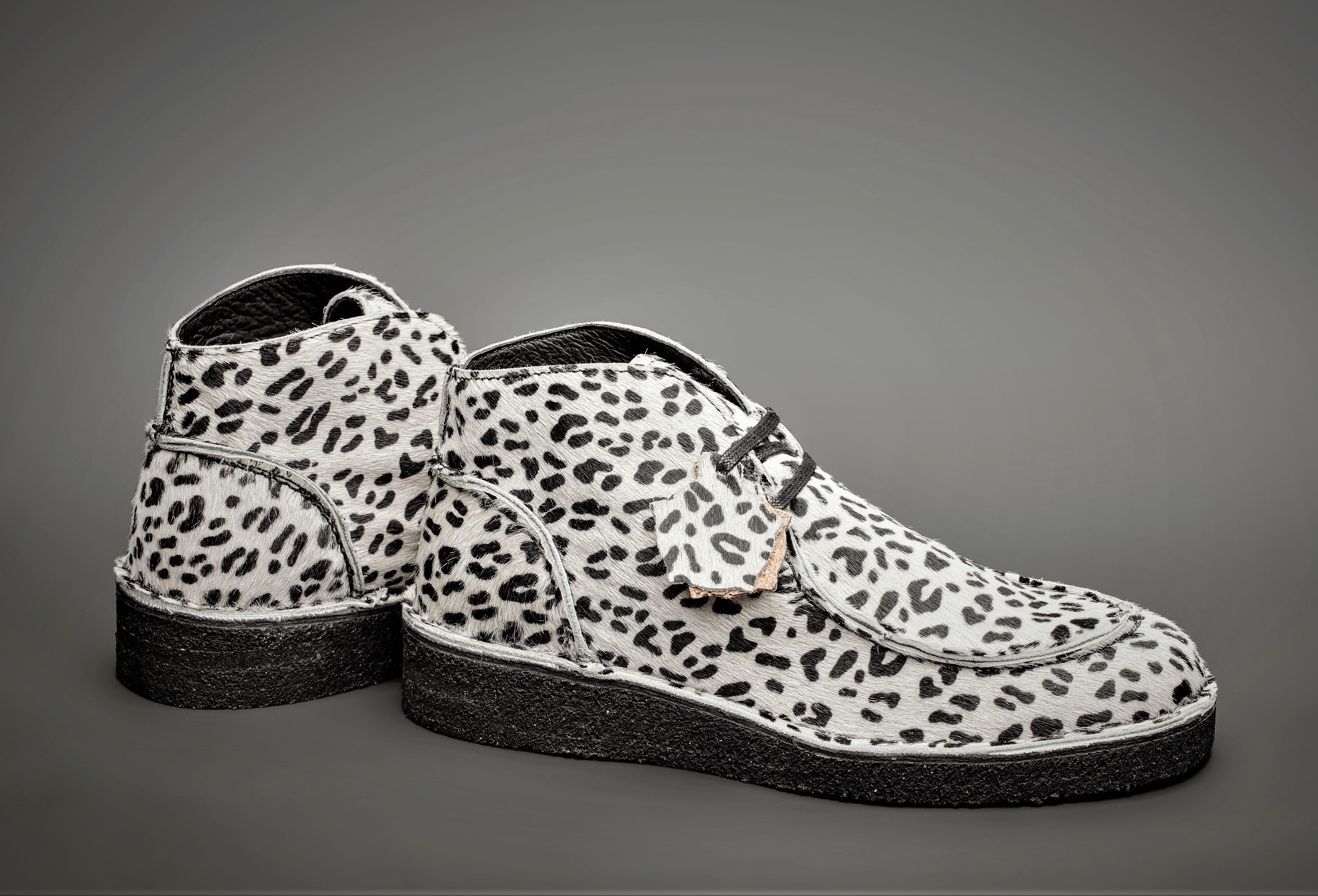EWALDI - WHITE DALMATIAN