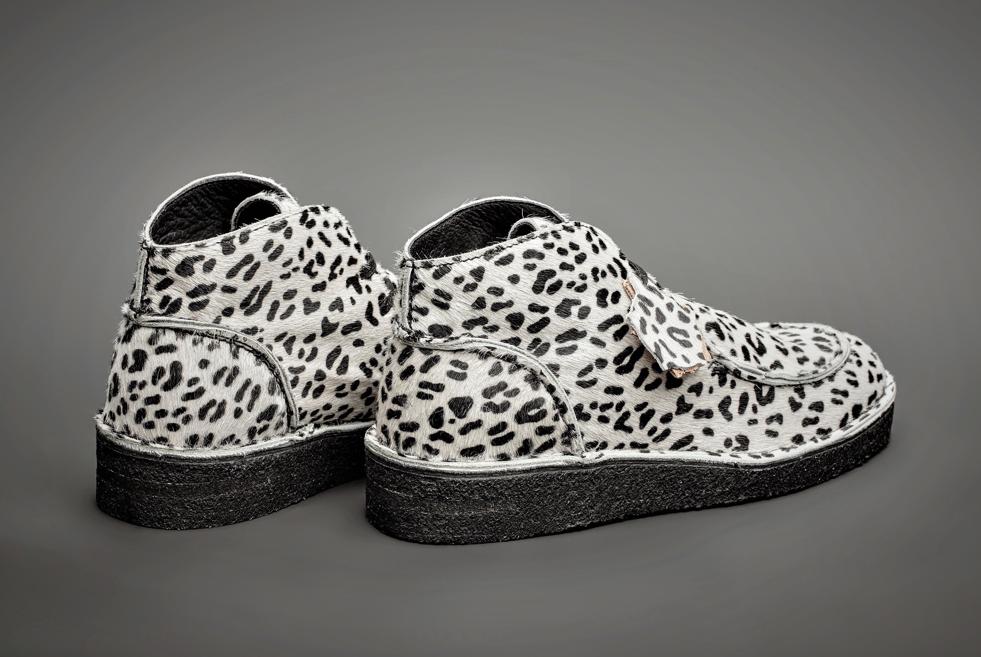 EWALDI - WHITE DALMATIAN