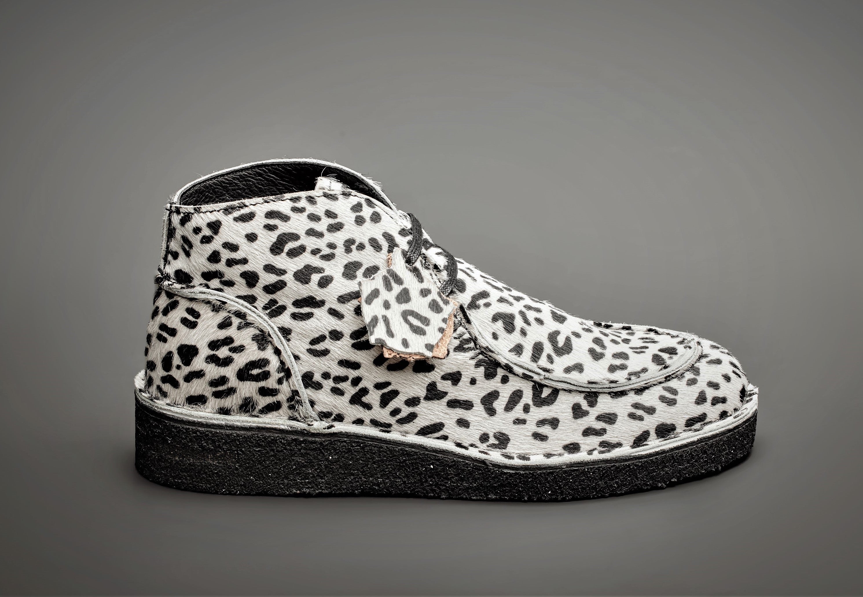 EWALDI - WHITE DALMATIAN